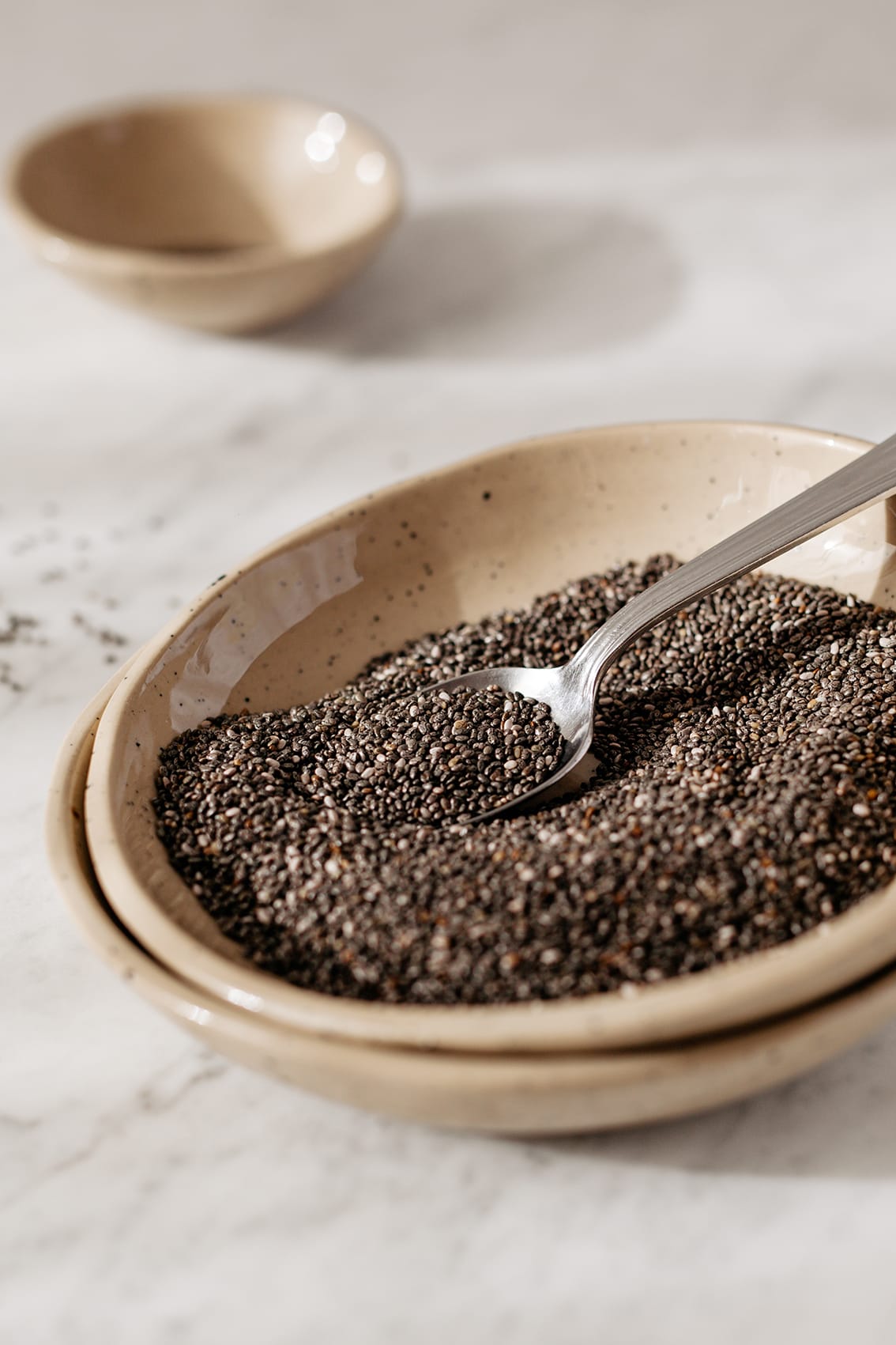 chia, szałwia hiszpańska